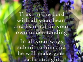 Trust in the Lord with all your heart and lean not on your own understanding.