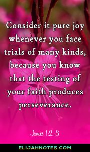 bible verse about perseverance after death